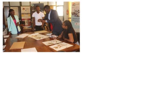 Projeto integrado de Resiliência Ambiental (PIRA)