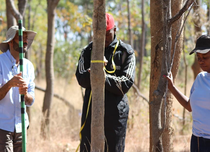 THE FUTURE OKAVANGO – TFO