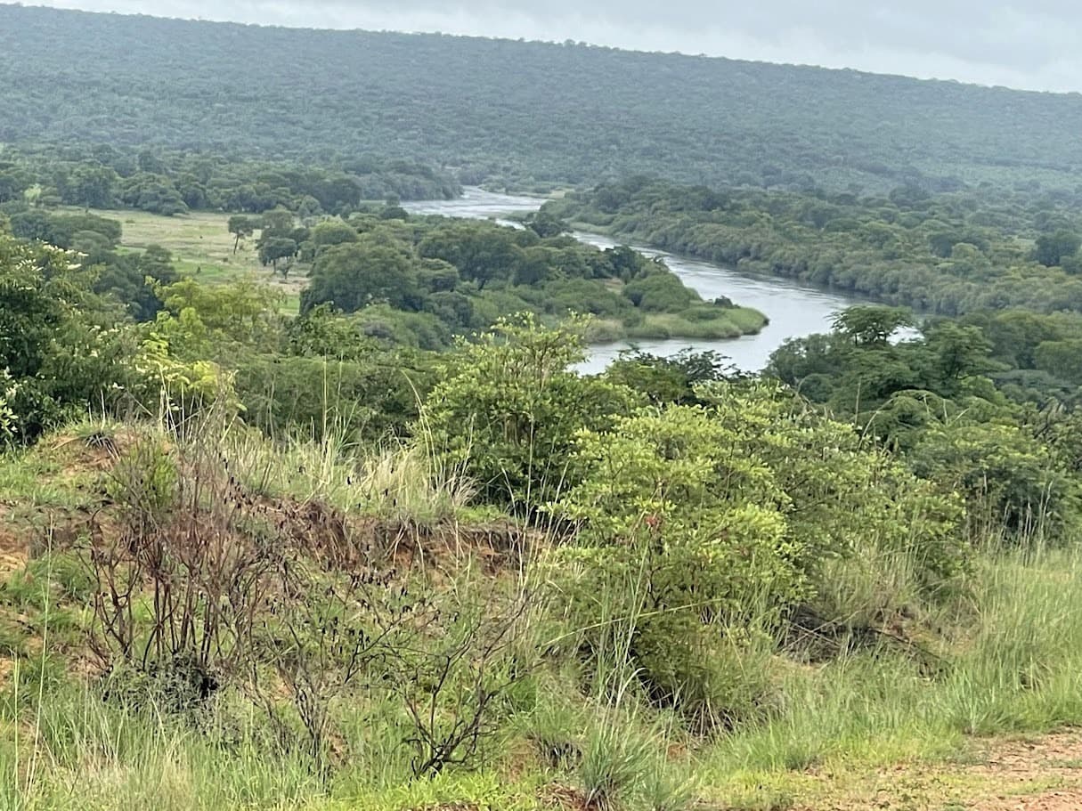 Cartografia e Análise Espacial com Detenção Remota